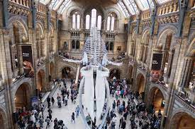 Natural History Museum